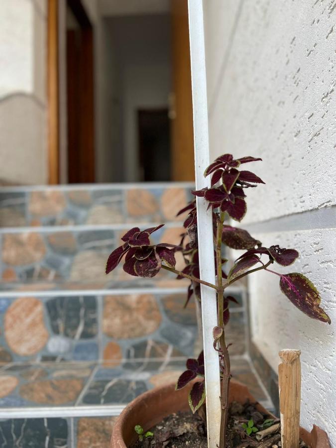 Alex Apartments Sarande Exterior photo