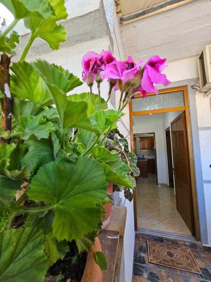 Alex Apartments Sarande Exterior photo